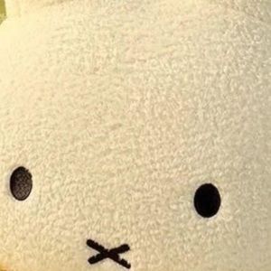 Meet your Posher, Iso